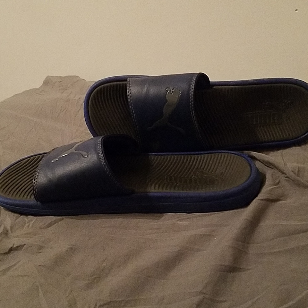 Puma slides